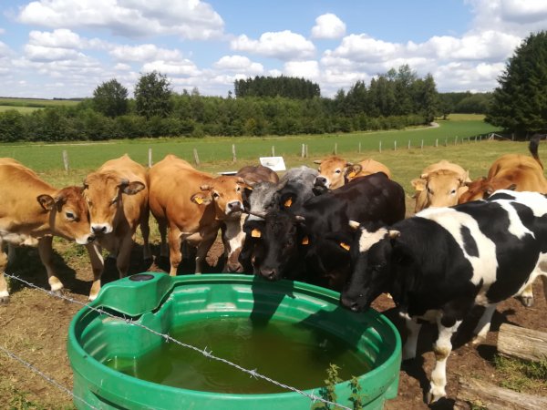 wandelroutes in Fays-Les-Veneurs