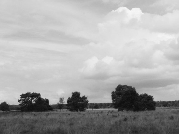CartierHeide, ook met wat somber weer heel mooi