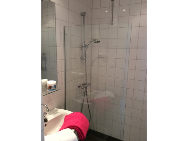 badkamer met douche en wasbak