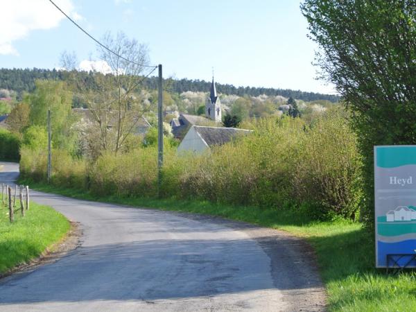zicht op heyd met de bossen erboven